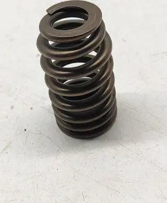 Dodge Challenger Valve spring 5037382BC
