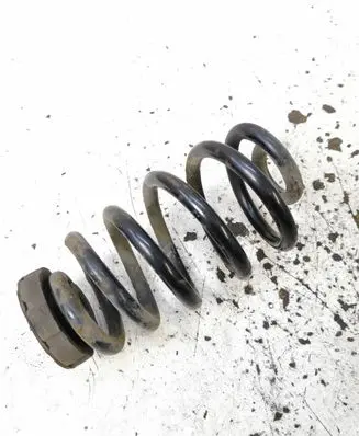 Seat Exeo (3R) Rear coil spring