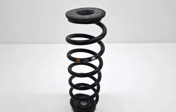 Rear coil spring