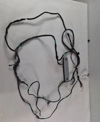 Tesla Model Y Juniper Other wiring loom 173929300G