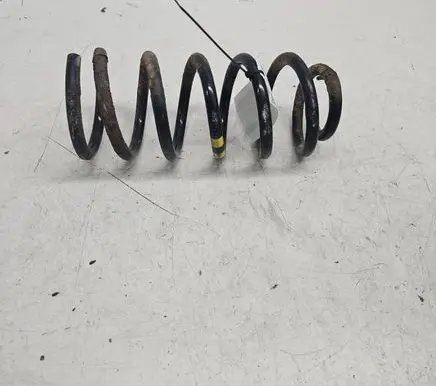 Rear coil spring