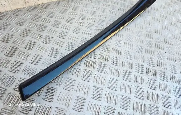 BMW 5 GT F07 Front door trim bar 9156250