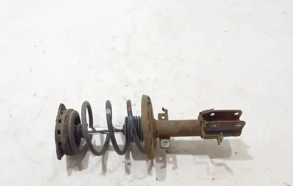 Renault Megane III Front shock absorber/damper 543020062R