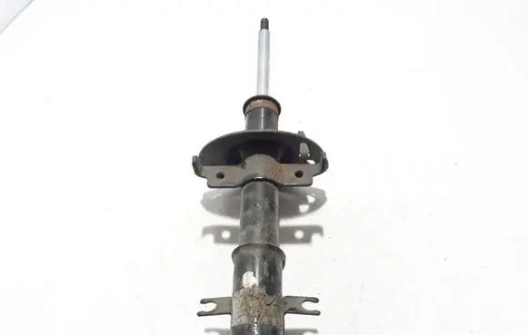 Renault Laguna II Front shock absorber/damper