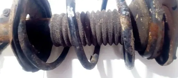 Toyota Corolla Verso AR10 Front coil spring