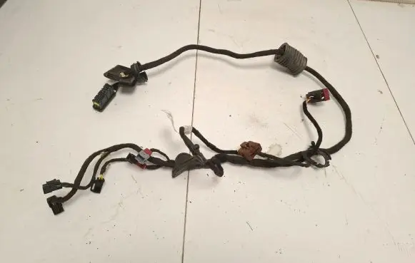 Citroen Jumper Front door wiring loom 1376571080