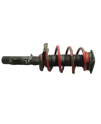 Ford Focus Front shock absorber with coil spring