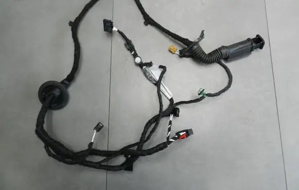 Volkswagen Golf VIII Rear door wiring loom 5H9971694M AB016298 016298K