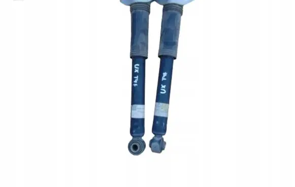Lexus UX Rear shock absorber/damper 4853076180