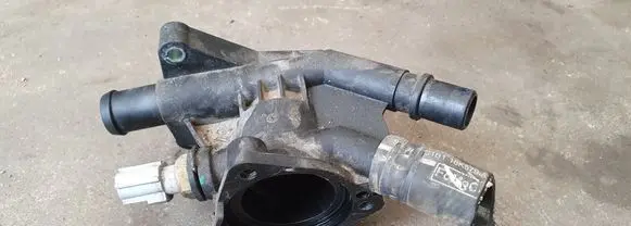 Thermostat/thermostat housing