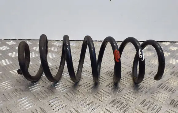 Nissan Qashqai Rear coil spring