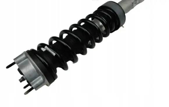 Mercedes-Benz AMG GT R190 C190 Rear shock absorber with coil spring A1903205900
