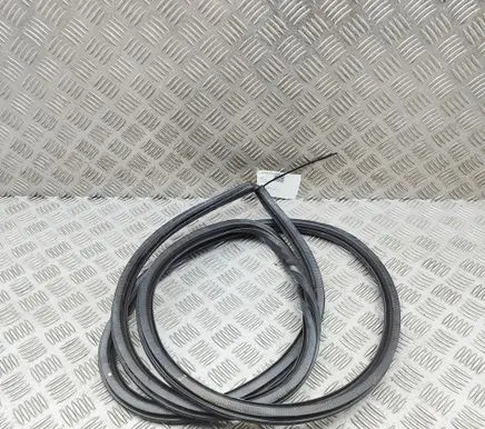 Lexus IS III XE30 Rubber seal front door (on door) 6231153040