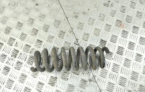 Rear coil spring