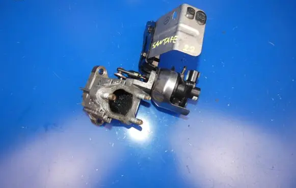 Hyundai Santa Fe EGR valve