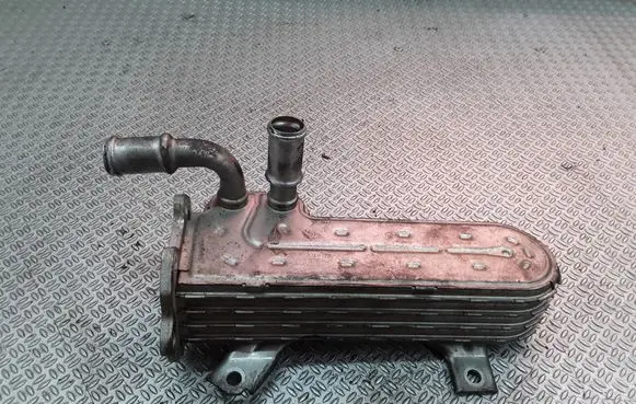 Seat Toledo III (5P) EGR valve cooler 038131513AD