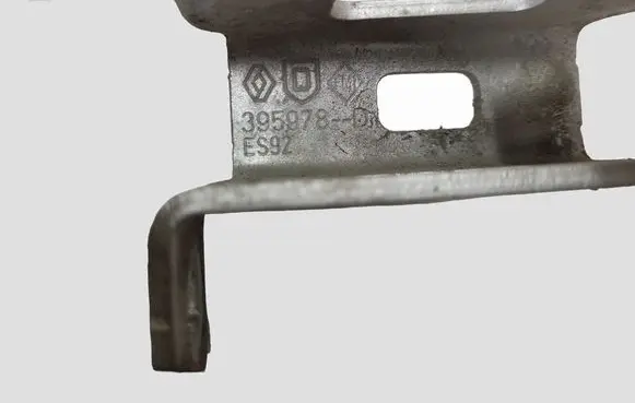 Dacia Logan I Rear door lower hinge 395978D