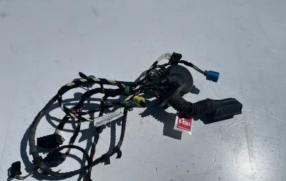 Volkswagen PASSAT B8 Front door wiring loom 3G1971121H