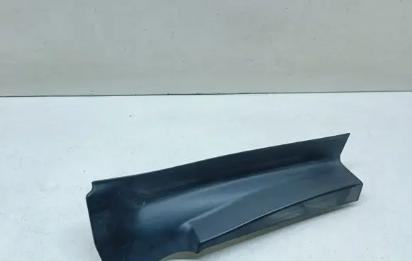 Rear/tail light trim molding