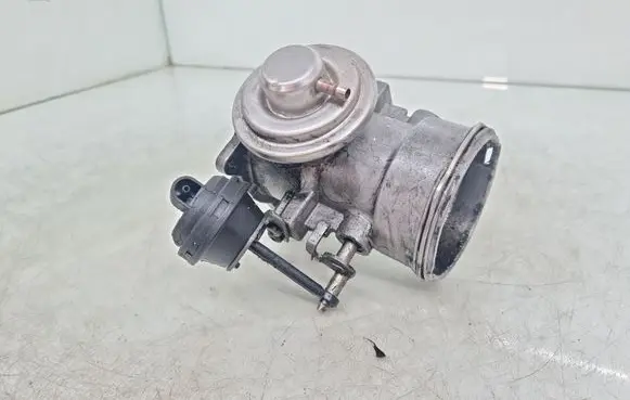 Volkswagen Touareg I EGR valve 070128073