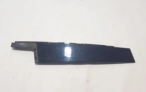 Renault Espace V (RFC) Front door glass trim molding 802859722R