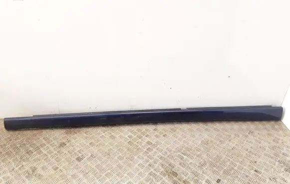 Jaguar X-Type Sill 1X43F10609ACW JHM