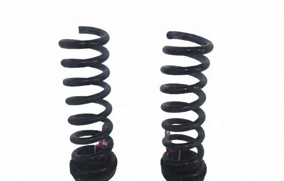 Dodge Challenger Rear coil spring 05168900AC