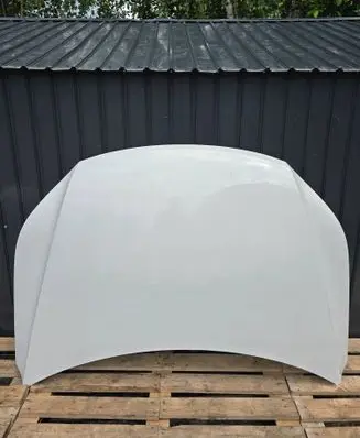 Volkswagen Tiguan Engine bonnet/hood LB9A