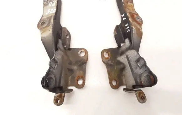 KIA Carnival Engine bonnet/hood hinges