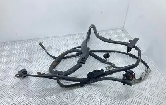 Audi A4 S4 B8 8K Wires (generator/alternator) 8K2971228H