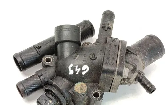 Thermostat/thermostat housing
