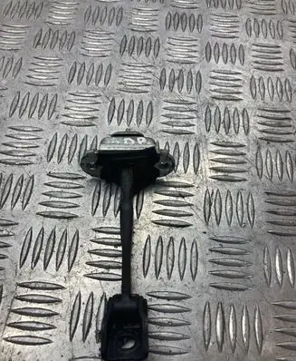 Rear door check strap stopper