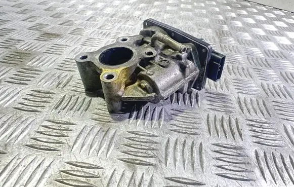 EGR valve