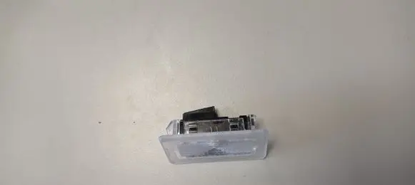Tesla Model Y Front door interior light 100715170E