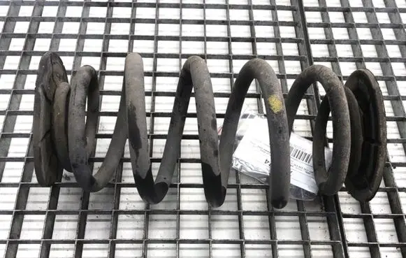 Rear coil spring