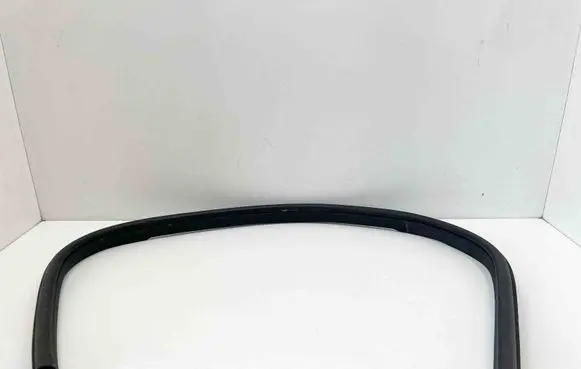 Mercedes-Benz SL R231 Rubber seal front coupe door 2316970051 A2316970051