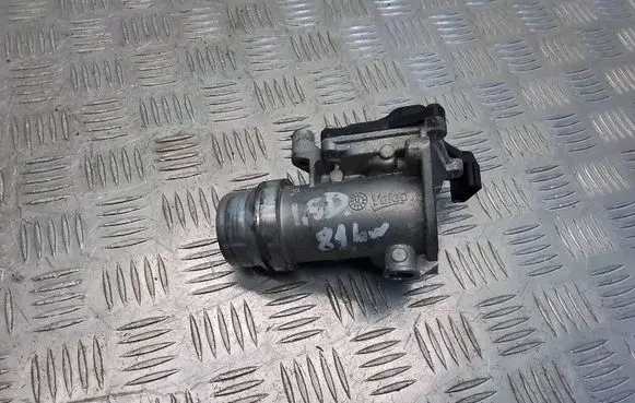 Nissan Qashqai Throttle valve 161A09794R 155432353