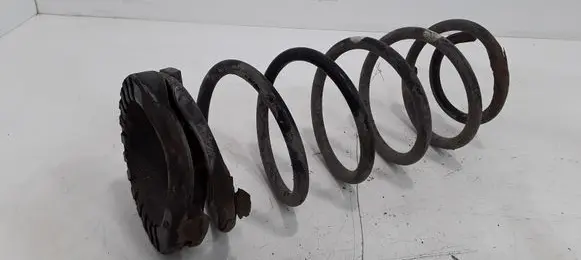 Hyundai i20 (PB PBT) Rear coil spring