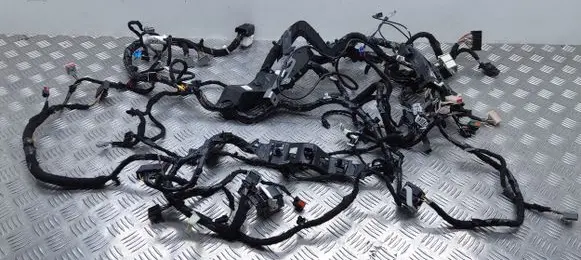 Ford Mondeo MK V Panel wiring JG9T14401CAB JG9T14401