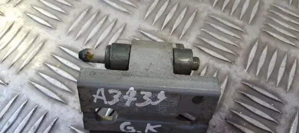 Volvo S80 Rear door lower hinge