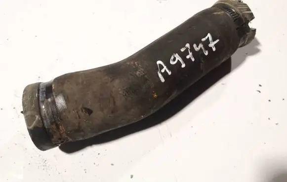 Fiat Punto (188) Engine coolant pipe/hose