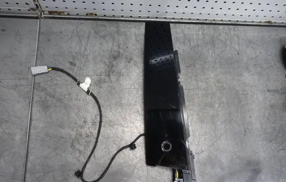 Ford Mustang Mach-E Front door trim (molding) LJ8B-R20898-BGW