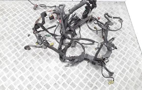Citroen Xsara Engine installation wiring loom 9649173480