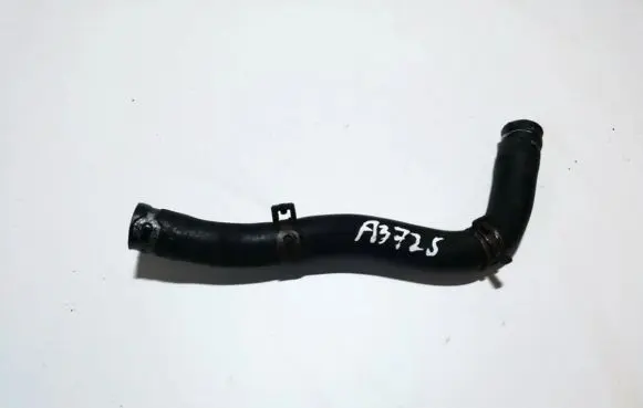 Renault Scenic I Engine coolant pipe/hose