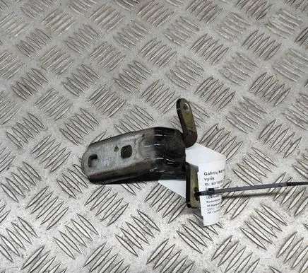 Rear door lower hinge