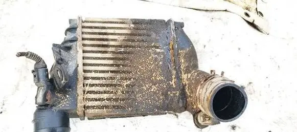 Volkswagen Bora Intercooler radiator