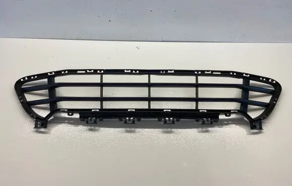 BMW 1 F20 F21 Front bumper lower grill 7954220