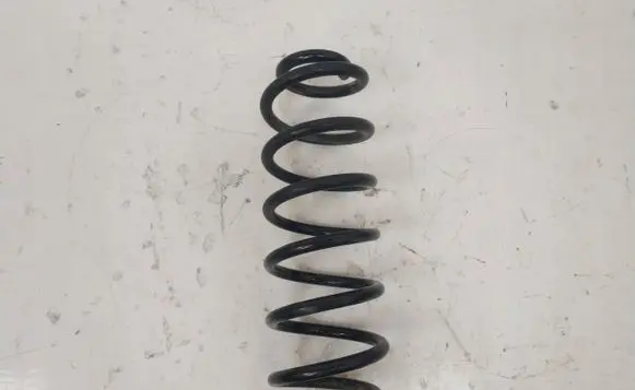 Rear coil spring
