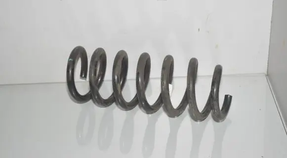 Rear coil spring