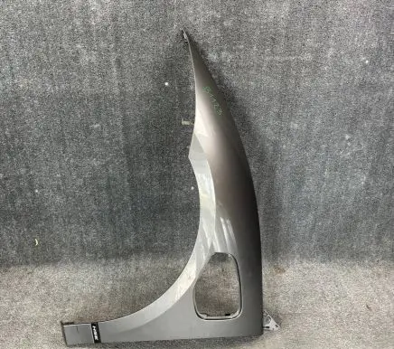Jaguar I-Pace Fender B1123